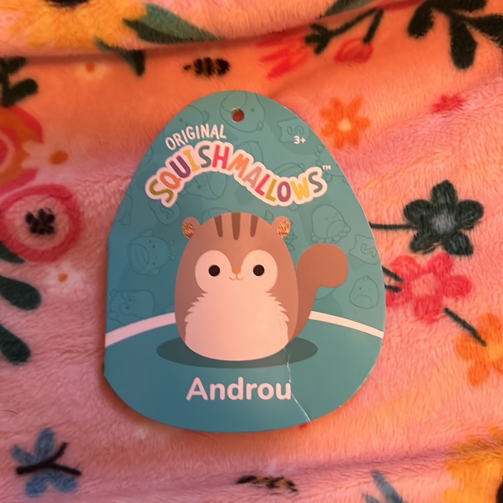 Squirrel squishmallow - Picture 3 of 3